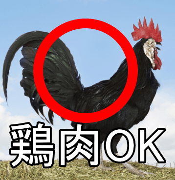 鶏肉